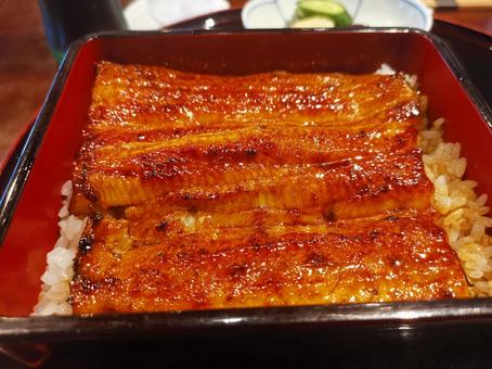 うな重 うな重 うな重,鰻,スタミナの写真素材