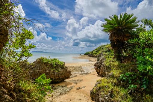 小浜島 小浜島の写真