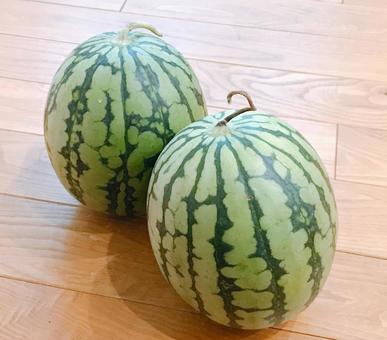 watermelon, JPG