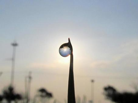 水滴と緑の葉と朝日Water drops 水滴と緑の葉と朝日Water dropsの写真