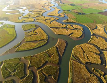 地表の航空写真｜畑と川のパターンの写真