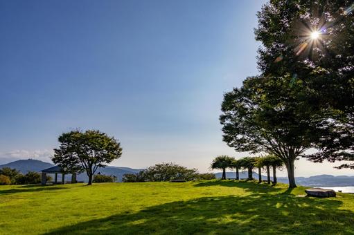 太陽の光が反射している公園の風景 太陽の光が反射している公園の風景 風景,自然,空の写真素材