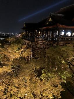 清水寺 ライトアップ 清水寺 ライトアップの写真