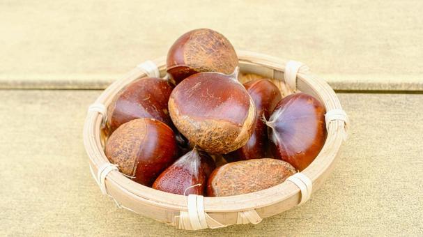 かごに盛ったクリ クリ,栗,実の写真素材