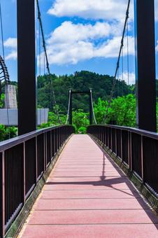 Photo, bridge, suspension bridge, the scenery, 