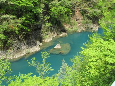 抱返り渓谷(秋田県) 抱返り渓谷(秋田県) 清流,緑,川の写真素材