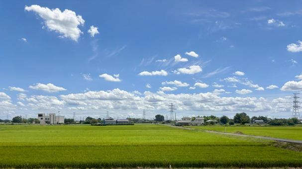 青空と夏の広大な田園風景の絶景 青空と夏の広大な田園風景の絶景 田園,水田,稲田の写真素材