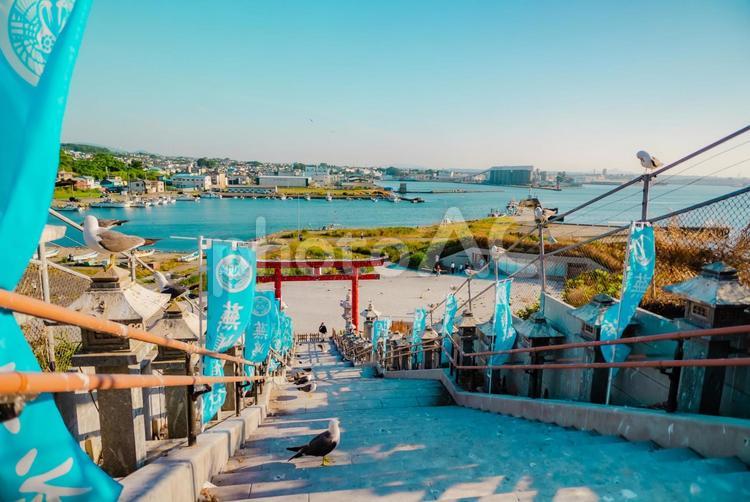 【青森】本八戸の蕪嶋神社 2025 蕪嶋神社,蕪嶋,神社の写真素材