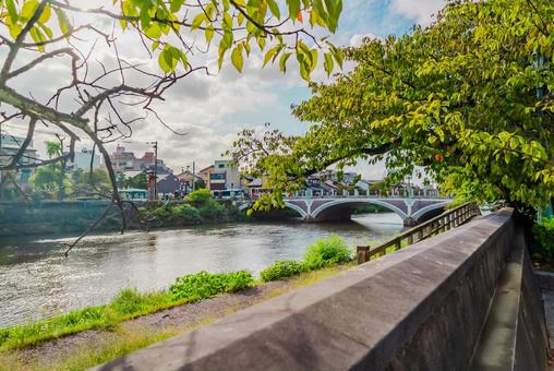 【石川】ひがし茶屋街周辺の浅野川 浅野川,石川,金沢の写真素材