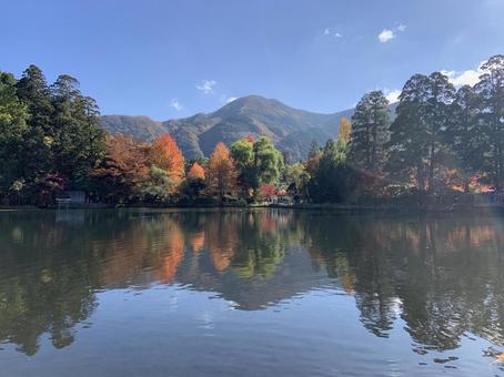 秋の金鱗湖 紅葉,秋,湖の写真素材