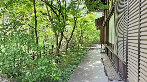 Photo, kikusui temple, enmeizan, fresh green, 