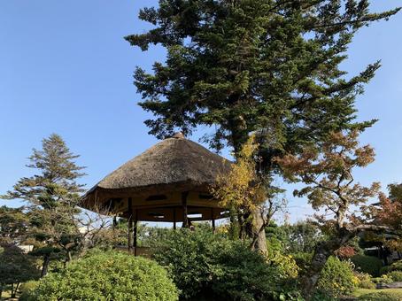 東屋 東屋 東屋,日本,日本庭園の写真素材