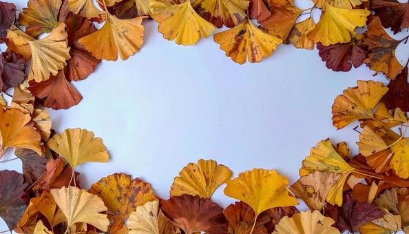 イチョウの葉　秋素材フレームの写真