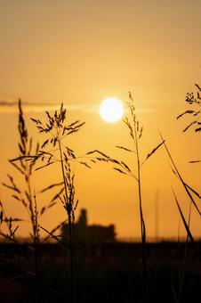 Sunset, JPG