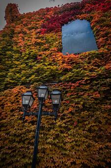 北海道　札幌ファクトリーの秋の風景 北海道,札幌,札幌市の写真素材