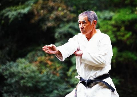 空手（構え③） 空手,形,人の写真素材