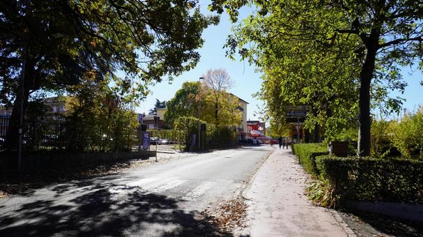 イタリア/ボローニャ地方の道路 道路,ボローニャ,イタリアの写真素材