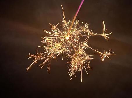 手持ち線香花火 手持ち線香花火の写真