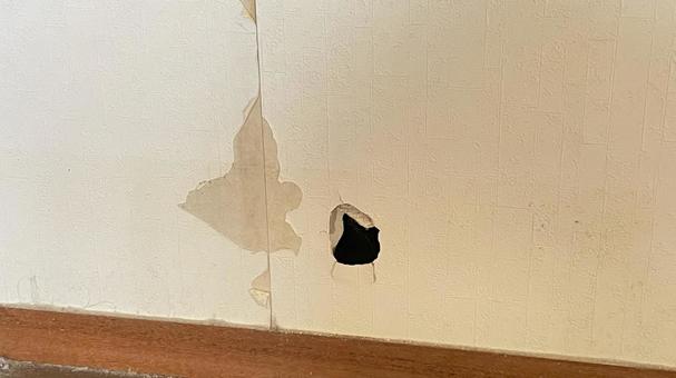 リフォームNM07の写真