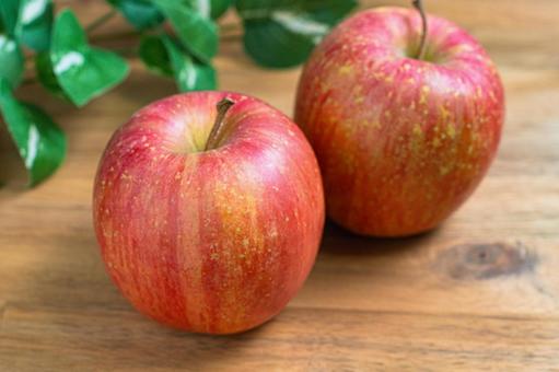 りんご(早生ふじ) りんご,早生ふじ,林檎の写真素材