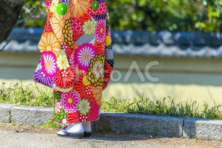 着物を着た女性の後ろ姿 人物,女性,着物の写真素材