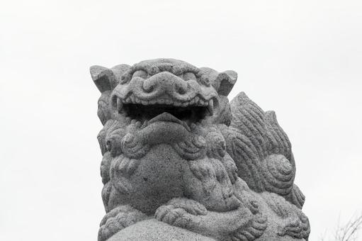小樽水天宮の狛犬 小樽水天宮の狛犬 狛犬,水天宮,小樽の写真素材