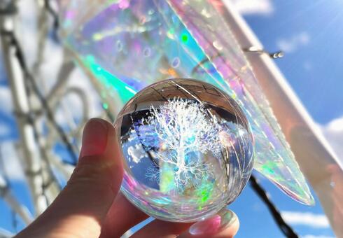 エコイメージ-電飾と青空とガラスの木 エコ,木,手の写真素材