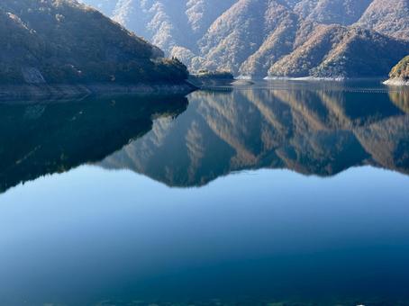 秋の福井県の九頭竜ダム　紅葉に色づく湖 ロックフィルダム,湖,自然の写真素材