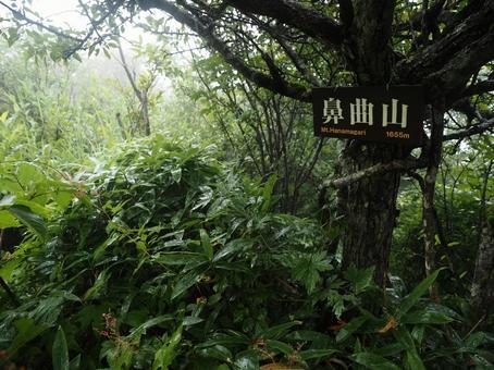 上信越高原国立公園・鼻曲山山頂 上信越高原国立公園・鼻曲山山頂 鼻曲山,山頂,標識の写真素材