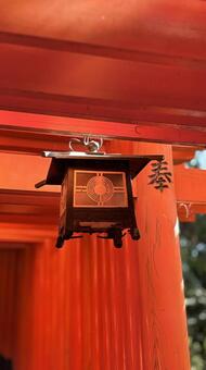 朱色の隙間、神紋（しんもん）が光る 伏見稲荷大社,神社,鳥居の写真素材