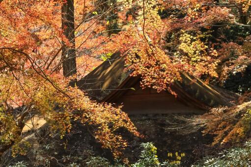 室生寺 室生寺,弥勒堂,女人高野の写真素材