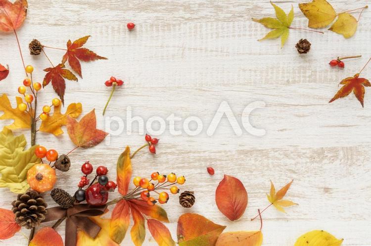 落ち葉と秋の実のフレーム 落ち葉,秋,紅葉の写真素材