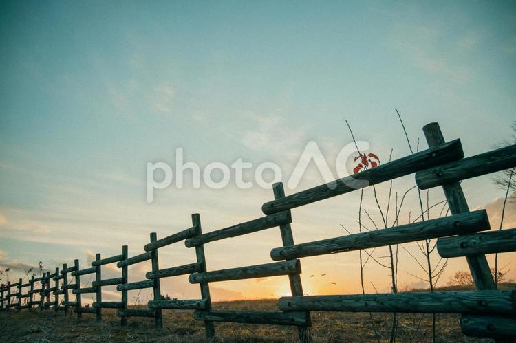 夕暮れの牧場 牧場,柵,夕焼けの写真素材