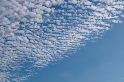 うろこ雲と青空 ウロコ,うろこ,鱗の写真素材