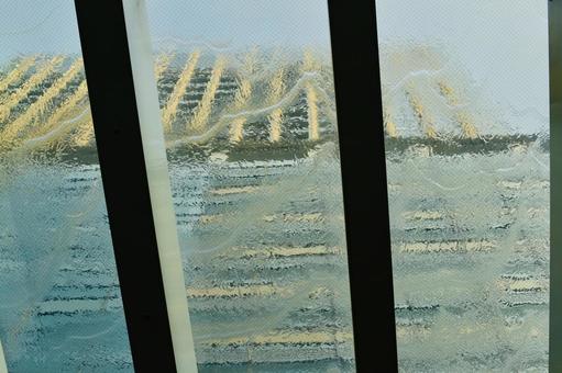 東京都港区ミッドタウンガラス天井の流水 東京都港区ミッドタウンガラス天井の流水の写真