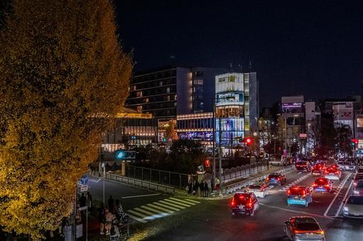 冬の表参道周辺の景色 表参道,ライトアップ,町並みの写真素材