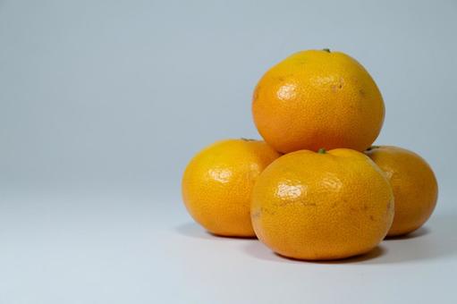 白い背景の左側にスペースのあるみかんの山 白い背景の左側にスペースのあるみかんの山 みかん,柑橘類,フルーツの写真素材