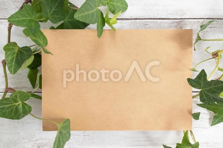 白い木背景のメッセージカードと観葉植物 白,木,木目の写真素材