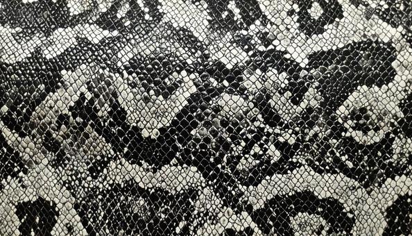 ヘビ革 レザーのテクスチャ ヘビ革 レザーのテクスチャの写真