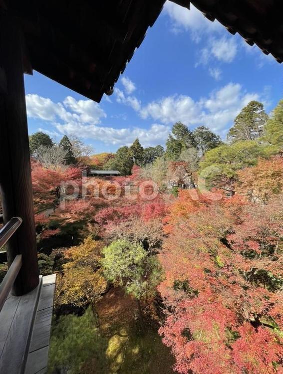 紅葉の季節がやってくるのは11月 11月,京都,秋の写真素材