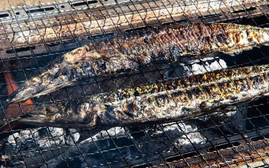 焼かれた秋刀魚 焼かれた秋刀魚 秋の味覚,さんま,サンマの写真素材