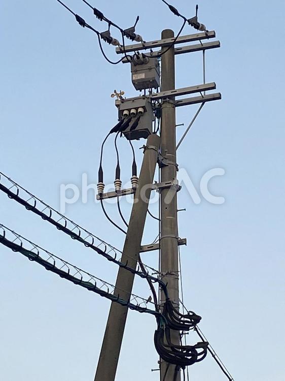 電柱電線7275 電柱,電線,電気の写真素材