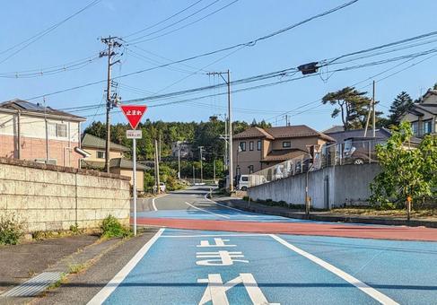 W「止まれ」 道路標識&道路標示 W「止まれ」 道路標識&道路標示 道路標識,道路標示,止まれの写真素材