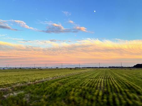 長い夕焼け雲 夕焼け,雲,日没の写真素材