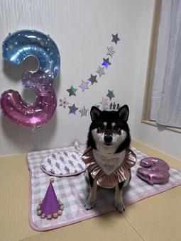 誕生日 誕生日の写真