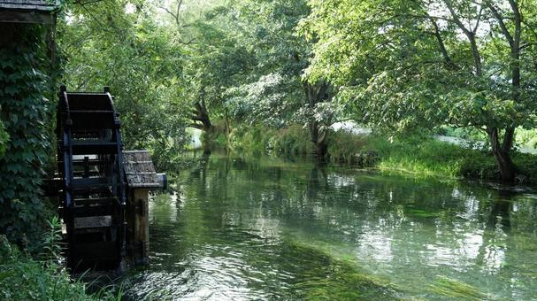 緑に囲まれた水車小屋 緑に囲まれた水車小屋 水車,川,夏の写真素材
