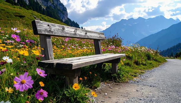 山道のベンチ 山道のベンチの写真
