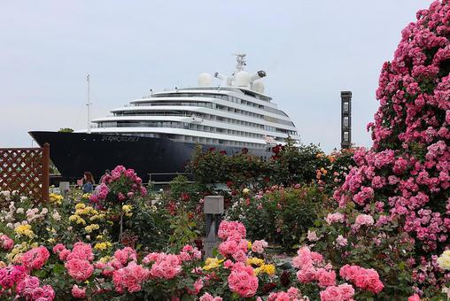 高松港のシーニック・エクリプスⅡとバラ園 高松港のシーニック・エクリプスⅡとバラ園の写真