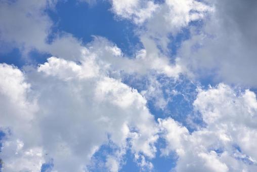 夏の雲 夏の雲の写真