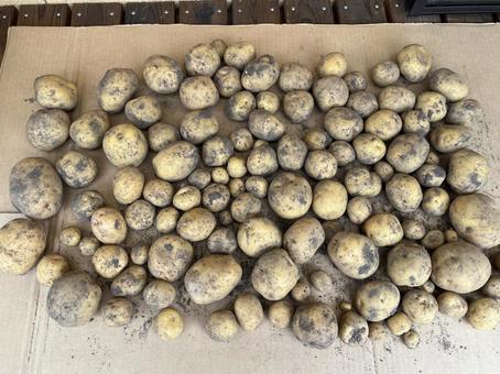 Potatoes, JPG